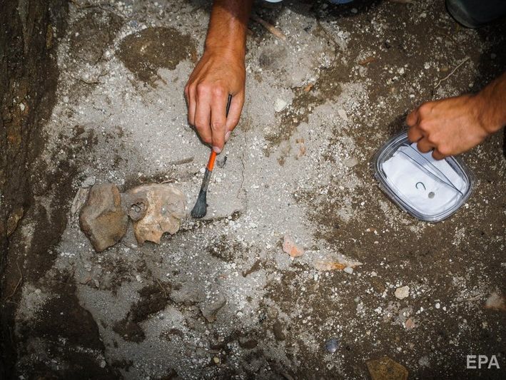 ﻿Археологи знайшли нові артефакти в Помпеях