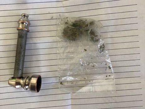 В соцсетях высмеяли пресс-службу ГФС, рапортовавшую об изъятии в Волынской области маленькой дозы каннабиса