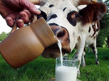 Россия вновь ограничила импорт молочной продукции из Украины