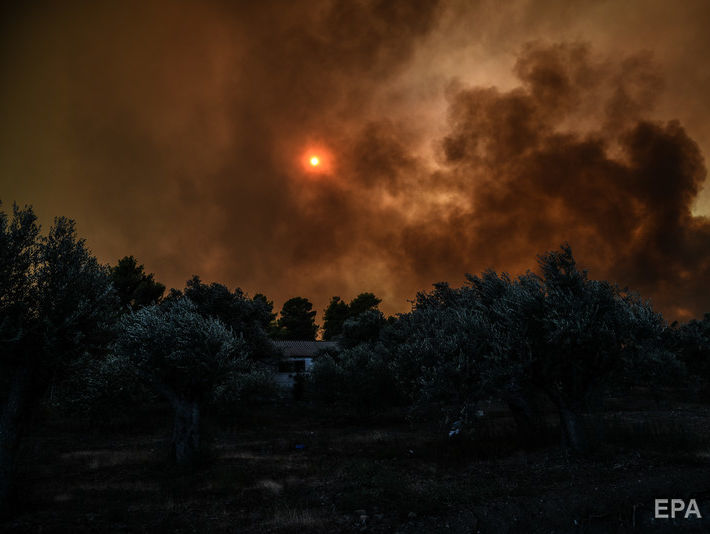 Кількість загиблих унаслідок лісових пожеж у Греції зросла до 96