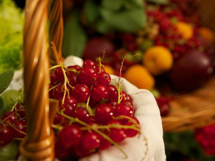 Как правильно хранить овощи и фрукты / ГОРДОН