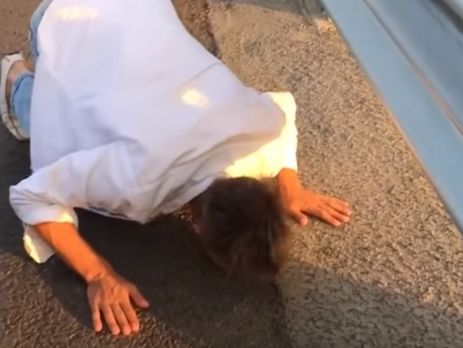 Панин: Благодарю нашего президента, что он построил Крымский мост. Дети от рака, подохли, правда. Видео