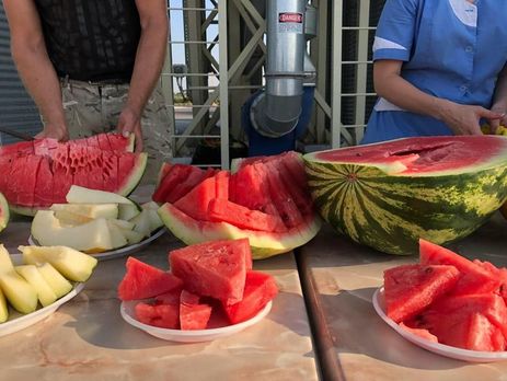 В Херсонской области загрузили первую баржу с арбузами. Фоторепортаж