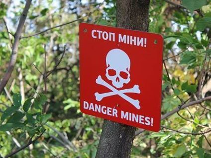 В Луганской области в результате взрыва мины погибла местная жительница