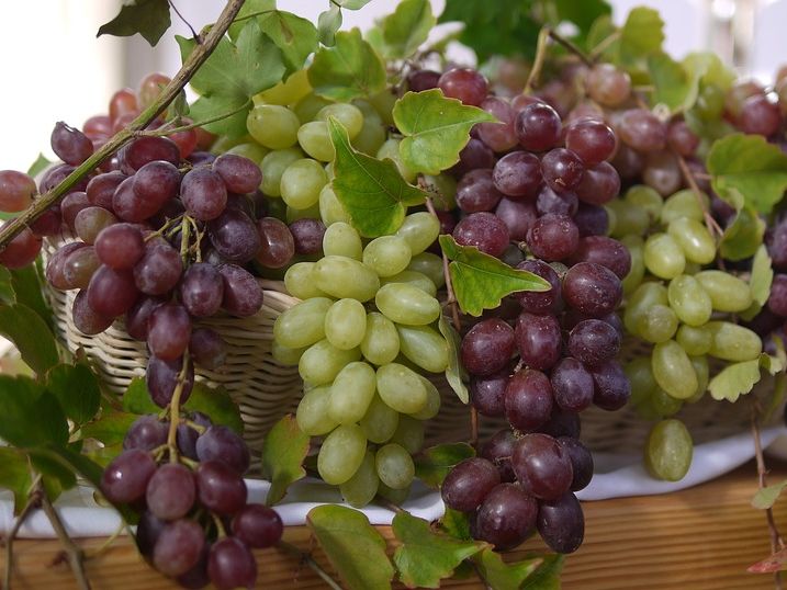 ﻿Чим відрізняються властивості білого і темного виноградів?