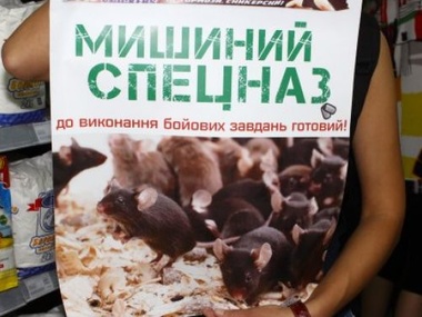 Во Львове активисты выпустили мышей в супермаркет, не маркирующий российские товары
