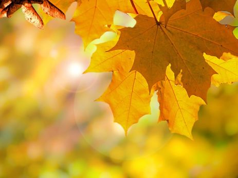 ﻿Синоптик: Із 8 вересня в Україні суттєво похолодає