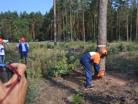 ﻿Держлісагентство України попередило про значне подорожчання деревини через внесені в законодавство зміни