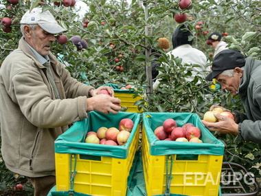 Польша просит Еврокомиссию компенсировать запрет России на ввоз в РФ польских фруктов и овощей