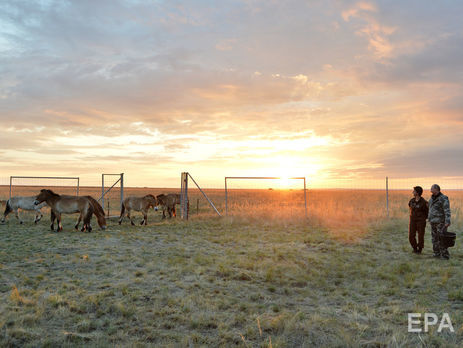 Бутина хотела организовать в США шоу про любовь Путина к природе