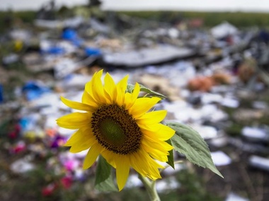 В Киев прибыли 12 американских военнослужащих для участия в расследовании трагедии MH17