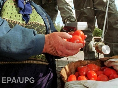 Эксперты Россельхознадзора уничтожили 4 кг персиков и томатов в багаже из Украины