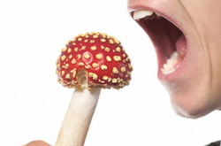 Порошенко ввел в действие решение СНБО о проекте оборонного бюджета Украины на 2019 год