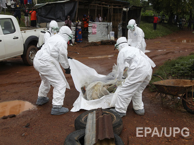 Страны Африки закрывают границы, чтобы не допустить распространения вируса Эбола