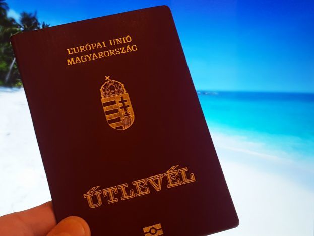 В базу сайта "Миротворец" начали вносить жителей Закарпатья с венгерским паспортом
