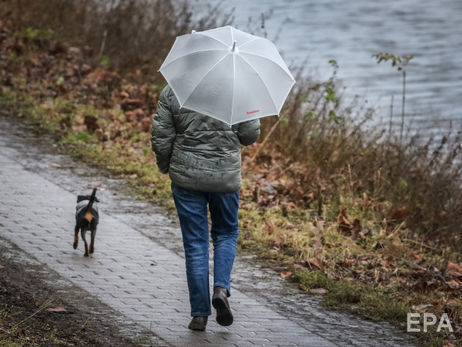﻿В Україні 205 населених пунктів залишилися без електрики через негоду – ДСНС