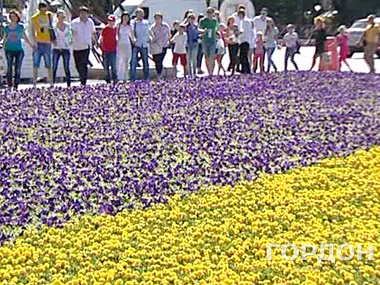 В День Независимости Украины в Харькове выложили рекордный флаг из цветов 