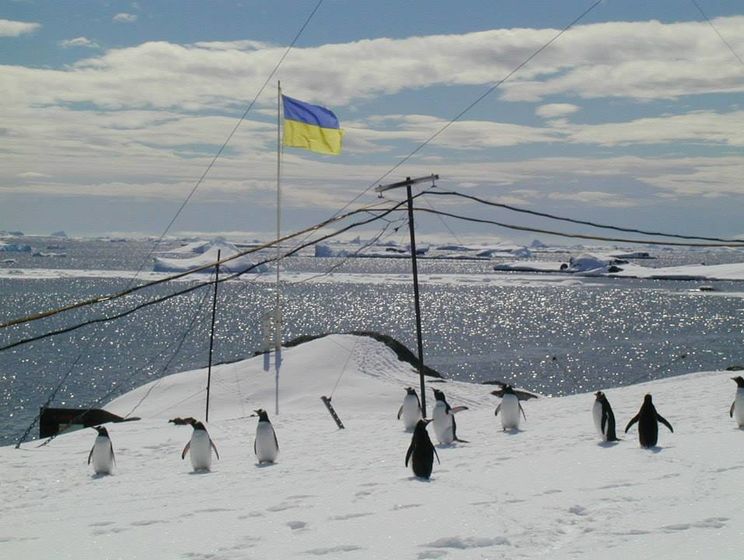 ﻿Україна оголосила конкурс із добору полярників для антарктичної експедиції із зарплатою від 25 тис. грн