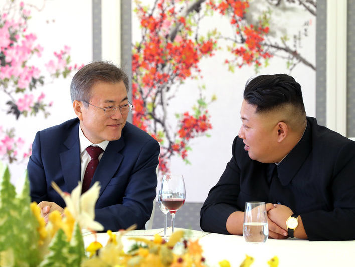 Ким Чен Ын подарил президенту Южной Кореи двух собак редкой породы, выведенной в КНДР – СМИ