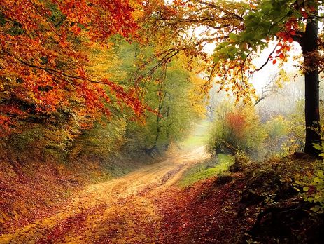 Синоптик: Ближе к выходным в Украине ожидается сухая, солнечная и теплая погода