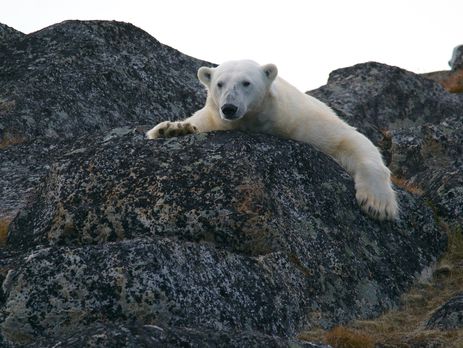 Для сдерживания глобального потепления потребуется около €2,1 трлн в год – ООН