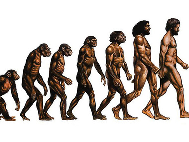 Треть американцев отрицает теорию эволюции