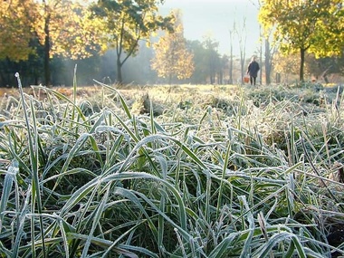 На севере Украины ночная температура опустится до -5