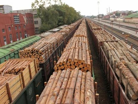 Директор Earthsight о контрабанде леса из Украины: Нас поразил размер европейских компаний, которые были частью этой торговли