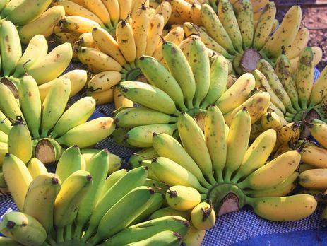 Чем отличаются беби-бананы от обычных