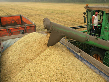 В этом году Украина собрала рекордные 64,421 млн тонн зерновых и зернобобовых