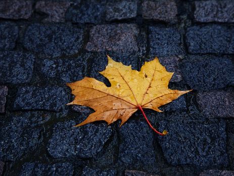 ﻿Укргідрометцентр: 23 жовтня на заході і півночі України прогнозують дощі