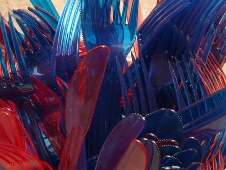 Европарламент одобрил запрет на одноразовую пластиковую посуду и ватные палочки с 2021 года