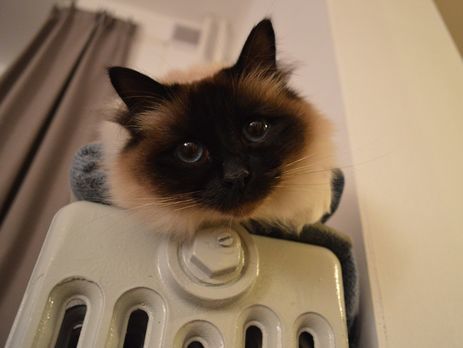 В Киеве к отоплению подключили 72% жилых домов – КГГА