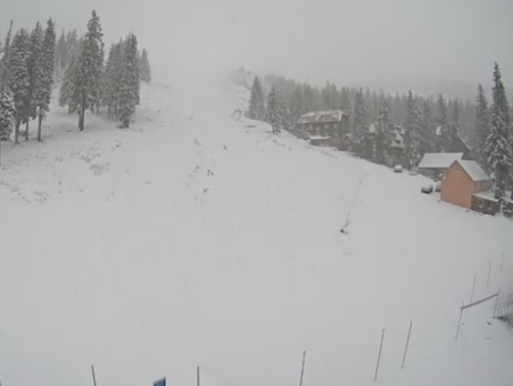 ﻿У Карпатах випав сніг