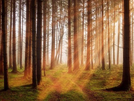 Украина находится в зоне самого теплого воздуха в Европе – синоптик