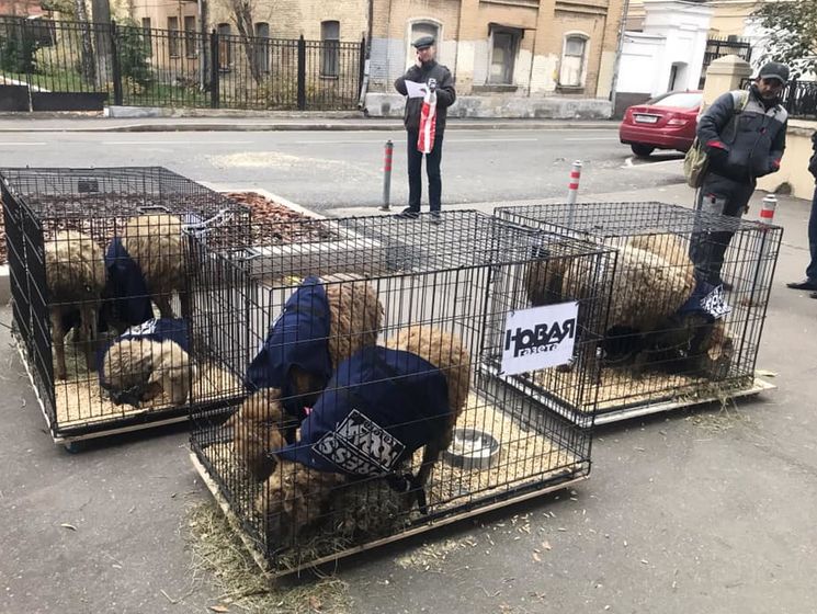 ﻿До офісу "Новой газеты" принесли клітки з вівцями