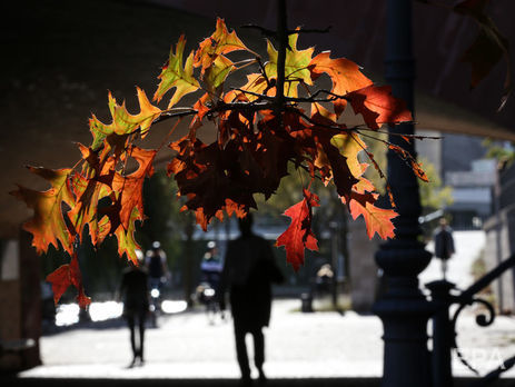 Синоптик: Высокая температура воздуха в Украине с октября переходит в ноябрь