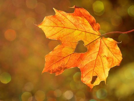 На выходных температура воздуха в Украине достигнет +19 ºC – синоптик