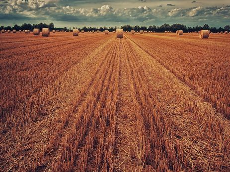 Суд в Украине впервые сослался на решение ЕСПЧ о незаконности моратория на продажу сельхозземель – Opendatabot