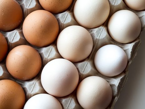 ﻿Від чого залежить колір яєчної шкаралупи і чи впливає він на склад яєць