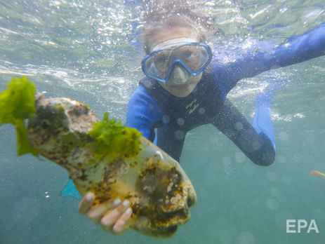 Словарь Collins назвал 