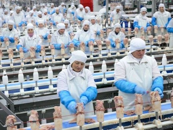 ﻿У "Миронівському хлібопродукті" заявили, що санкції РФ проти підприємства марні, оскільки активи в Криму втрачено