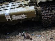В список попали несколько тысяч населенных пунктов, включая два областных центра Донецк и Луганск