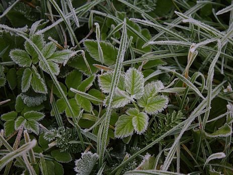 ﻿Синоптик: На вихідних в Україні прогнозують тумани і до -4 °C