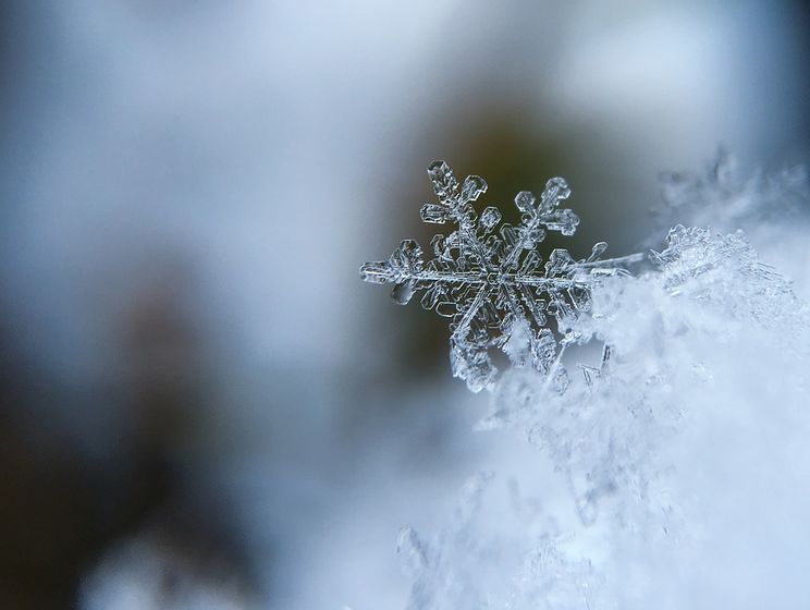 ﻿Синоптик: 15 листопада в Україні буде дощ, сніг та ожеледь