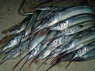 Цены на свежую рыбу в Крыму достигли отметки 300 грн/кг