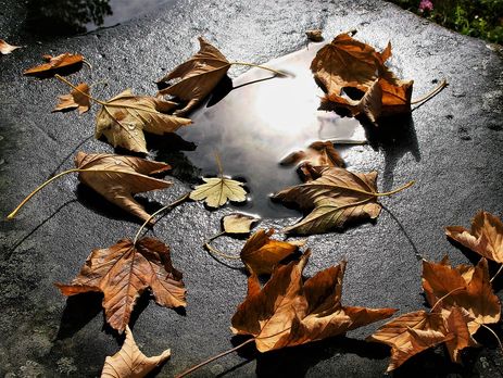 ﻿Синоптик: Із 20 листопада погода в Україні суттєво ускладниться, можливі дощі та мокрий сніг