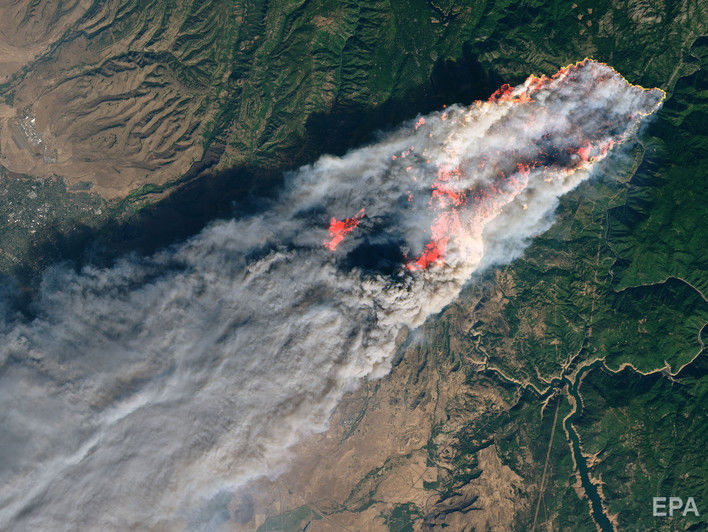 Лесные пожары в Калифорнии унесли жизни 80 человек