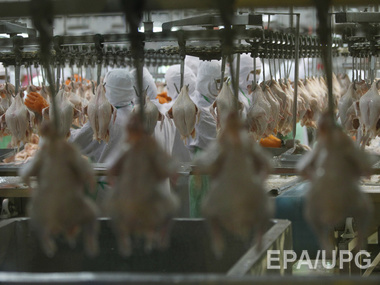 В Крым не пропустили почти 50 тонн мяса птицы