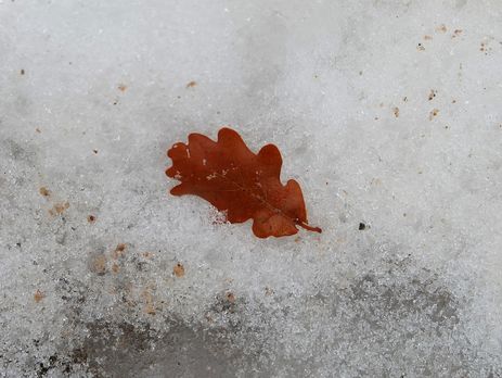 ﻿В Україні 60 населених пунктів залишилися без електрики через негоду – ДСНС